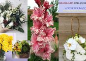 İstanbul Avrupa Yakasında Adrese Teslim Çiçek Gönder