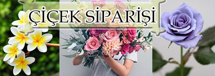 Cicek Siparisi Ozel Urun Siparisi