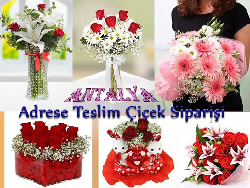 Antalya Merkezde Adrese Teslim Çiçek Siparişi